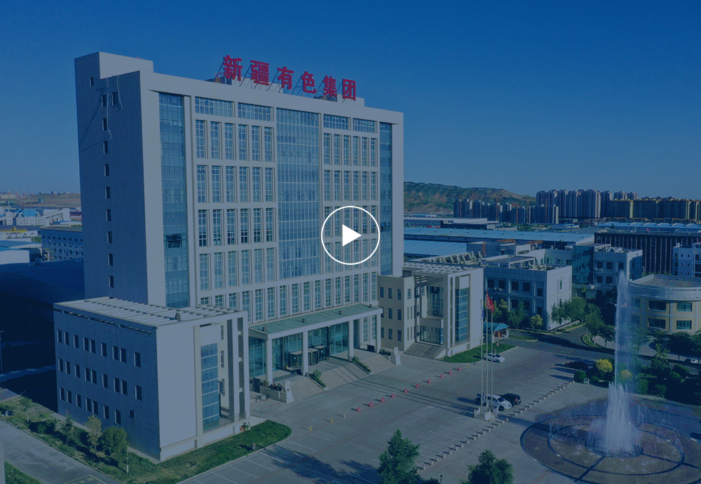 ��ʨ�����(�й�)���޹�˾-Official website