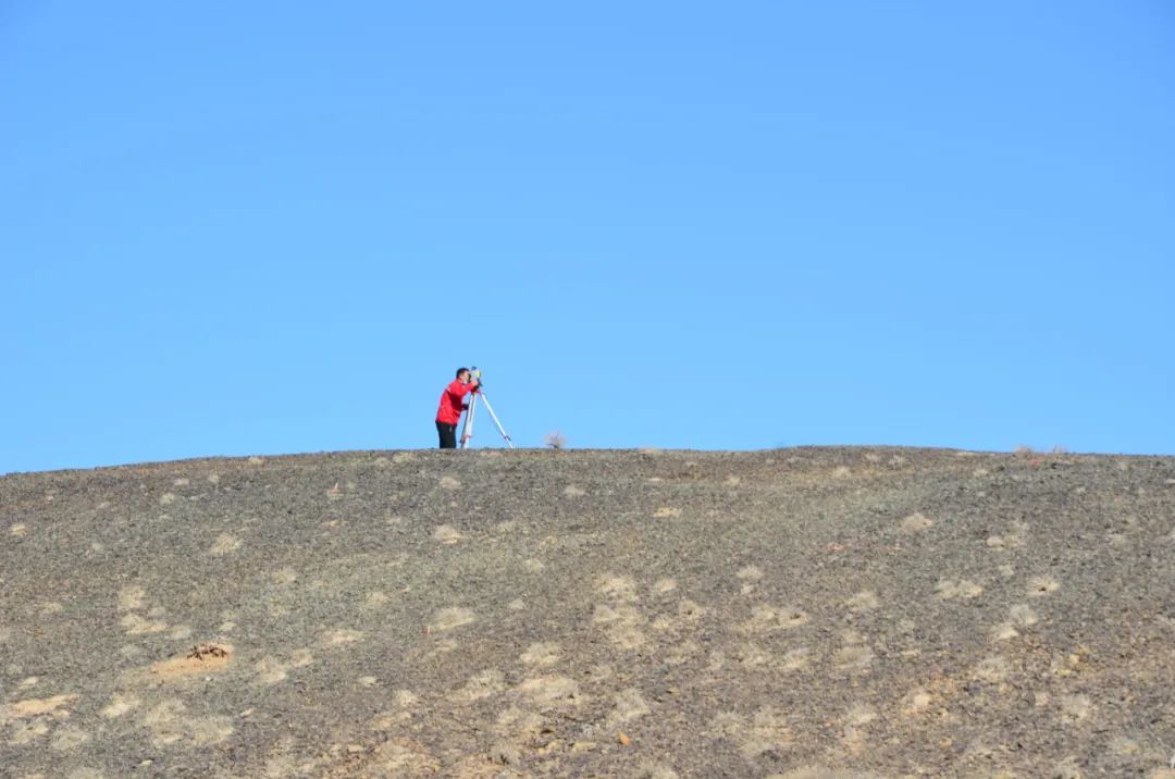 ��ʨ�����(�й�)���޹�˾-Official website