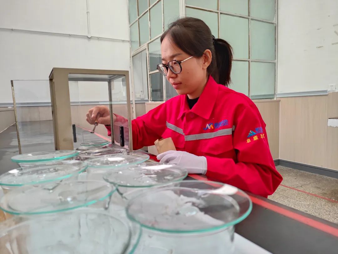 ��ʨ�����(�й�)���޹�˾-Official website